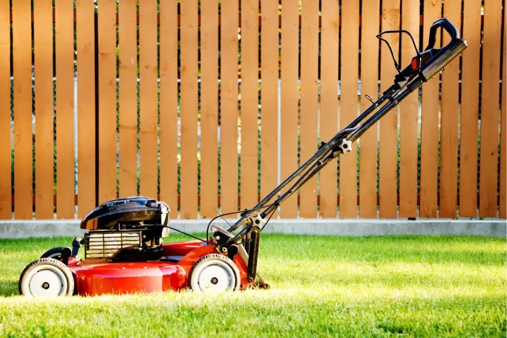 huile tondeuse moteur 4 temps